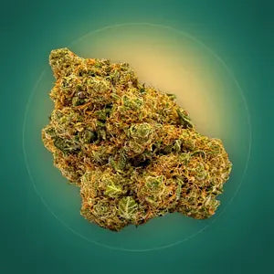 Amnesia Khalifa
