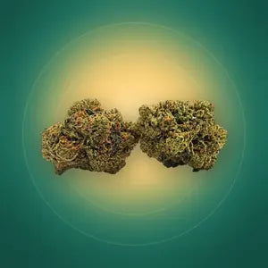 Lemon Haze