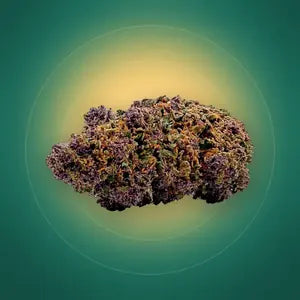 Lime Purple